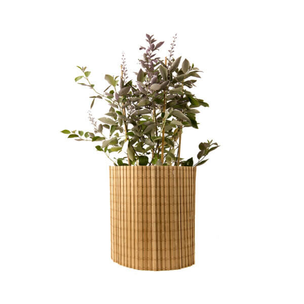 30 Vitex Trifolia