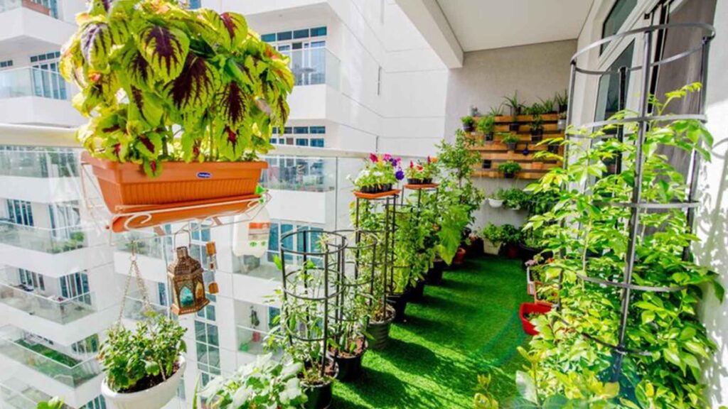 Dubai Fall Balcony Garden With Garden Me UAE Outdoor Plants